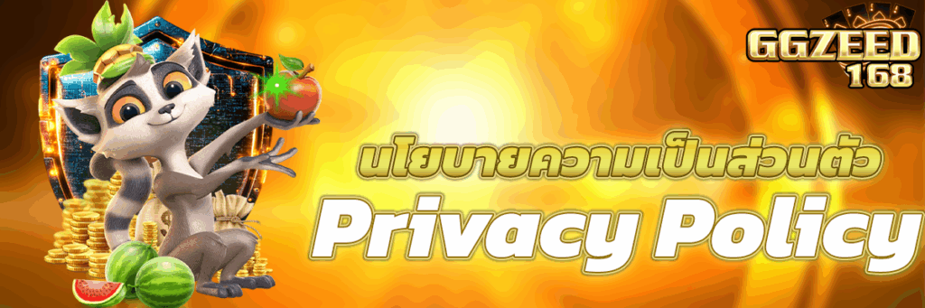 นโยบายความเป็นส่วนตัว
